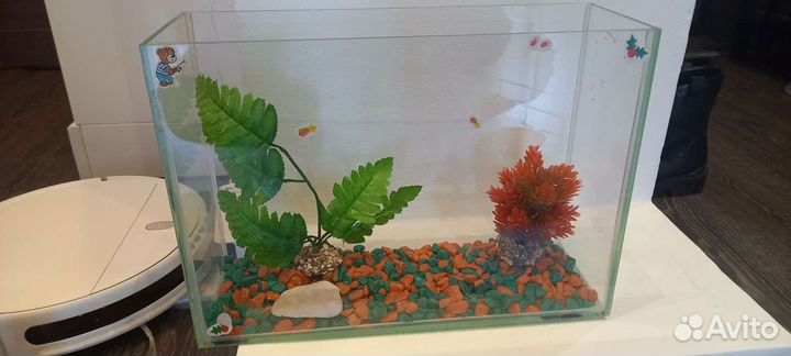Аквариум