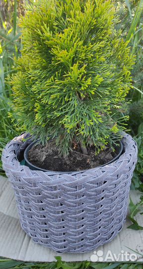 Кашпо для цветов из искусственного ротанга