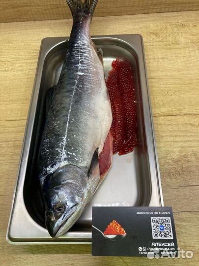 Рыба Лосось Нерка Горбуша Кижуч