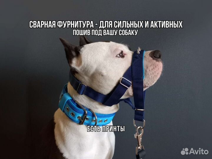 Халти недоуздки для собак