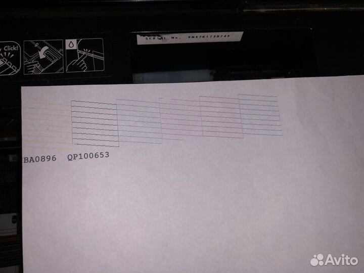 Epson Stylus Photo P50