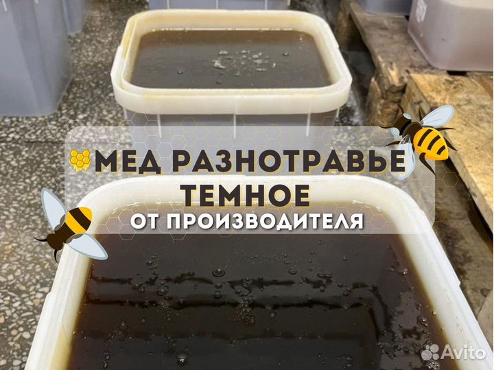 Разнотравье темное мёд Свежий Качка 2023 год