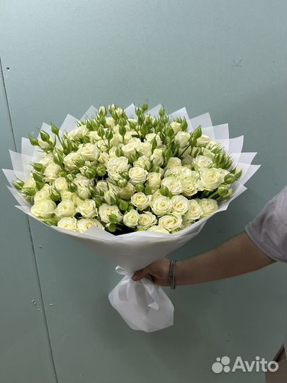 Роза кустовые пионовидные