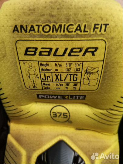 Хоккейные шорты и краги