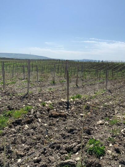 Участок 10 га (СНТ, ДНП)