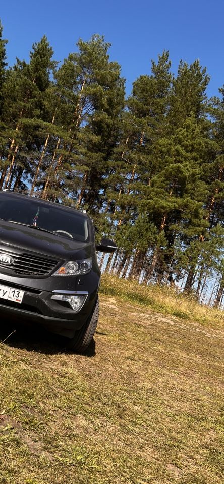 Kia Sportage: фото владельца