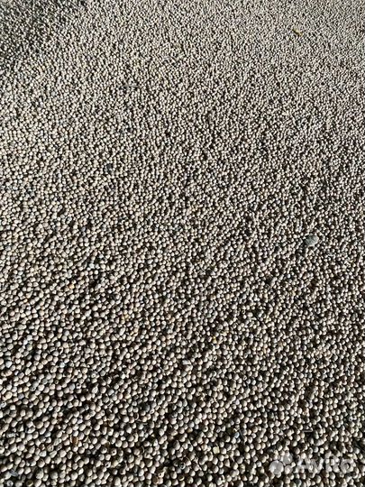 Горох кормовой