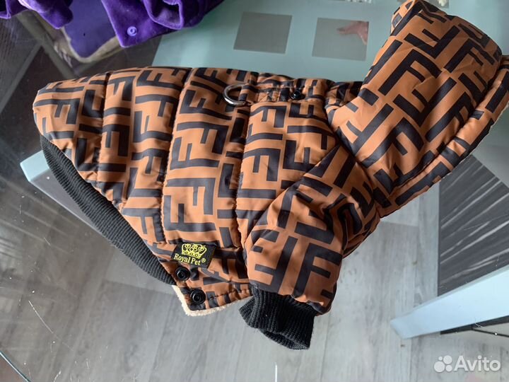 Куртка для маленькой собаки fende