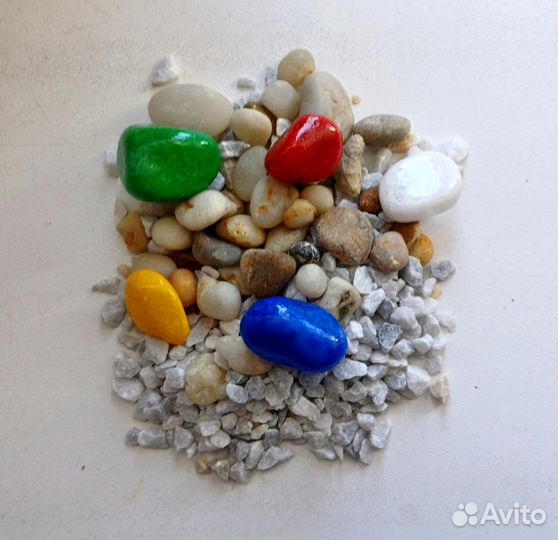 Корм для муравьев, декор и аксессуары для фермы