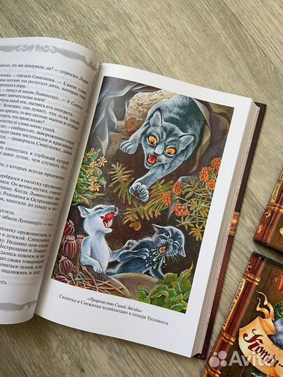 Книги серии 