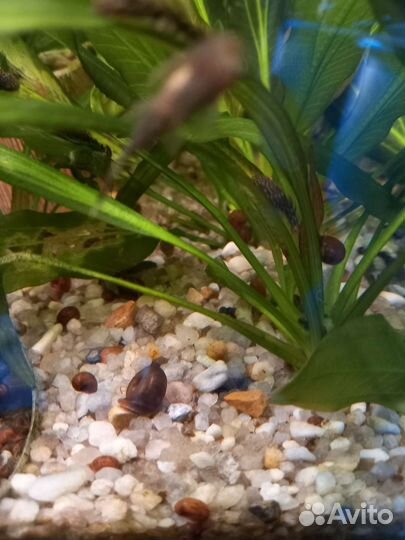 Кварцевый песок