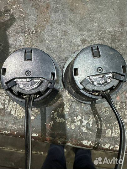 Динамики Prology competition