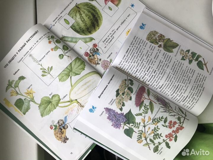 Учебники для 1-4 класса по окружающему миру