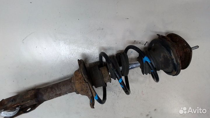 Амортизатор подвески левый передний Toyota Yaris, 2004
