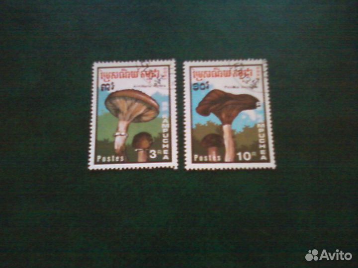 Грибы (1989, Кампучия)