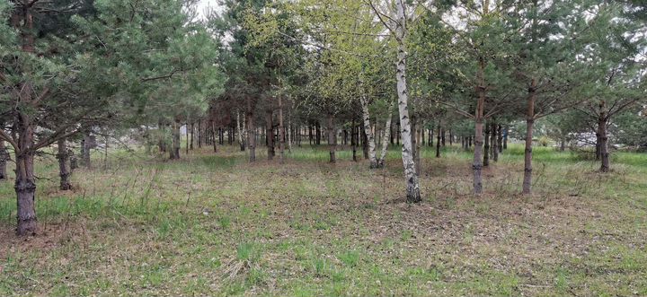 Участок 18,6 сот. (ИЖС)