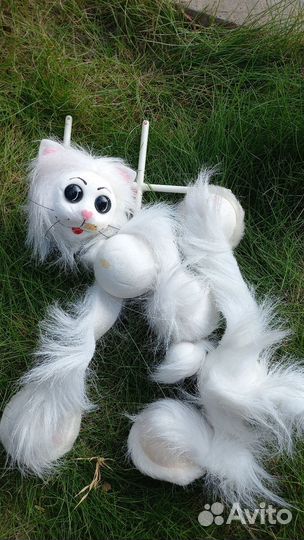 Кот шопито на леске