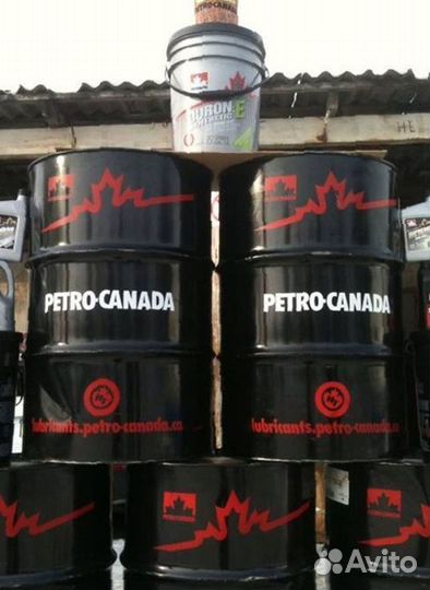 Моторное масло petro-canada 10w30