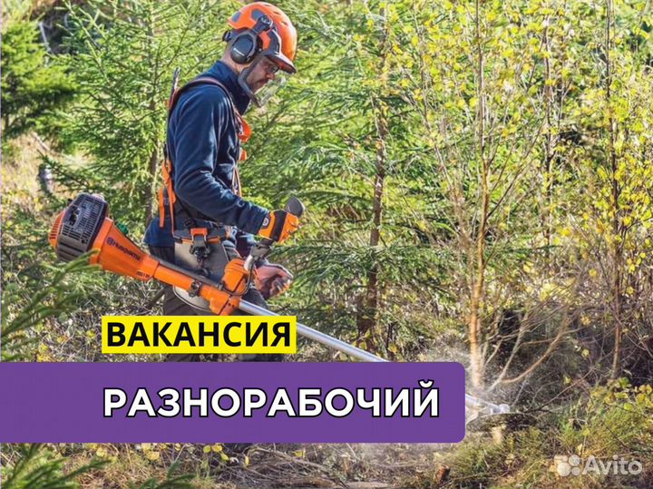 Разнорабочий в лесное хозяйство. Вахта