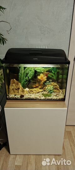 Аквариум в полном комплекте