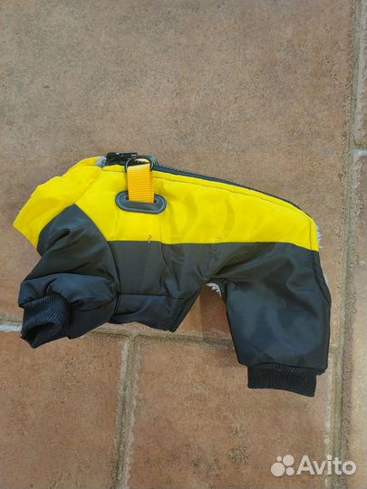 Одежда для собак мелких пород