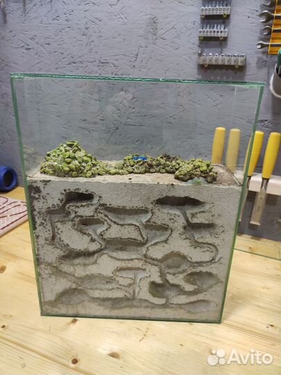 Формикарий муравьиная ферма
