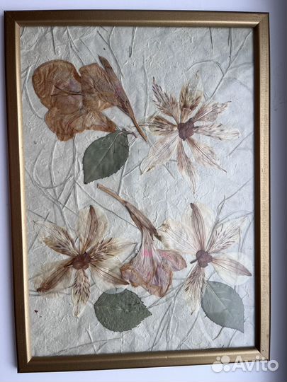 Картина Гербарий Цветы
