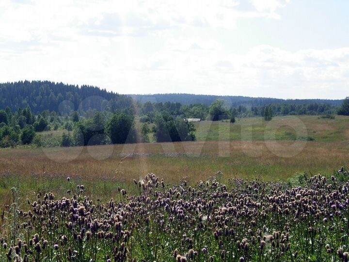 Участок 15 сот. (ИЖС)