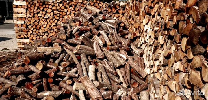 Дрова из леса