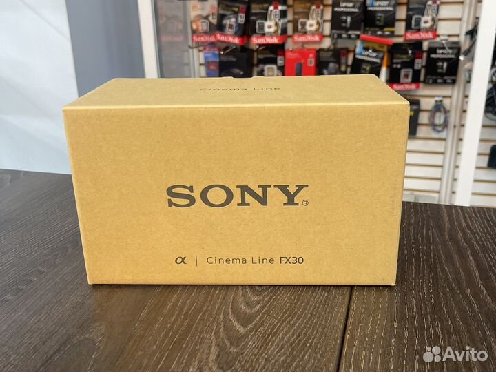 Sony fx30