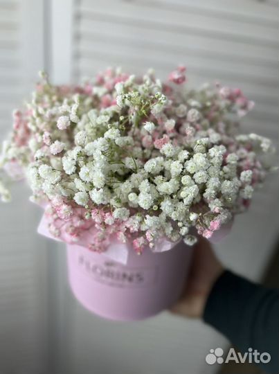 Гипсофила в коробке
