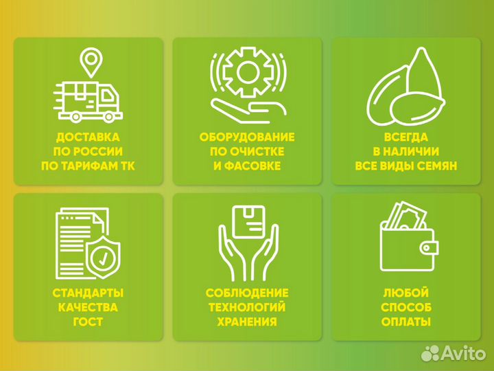 Семена свекла кормовая