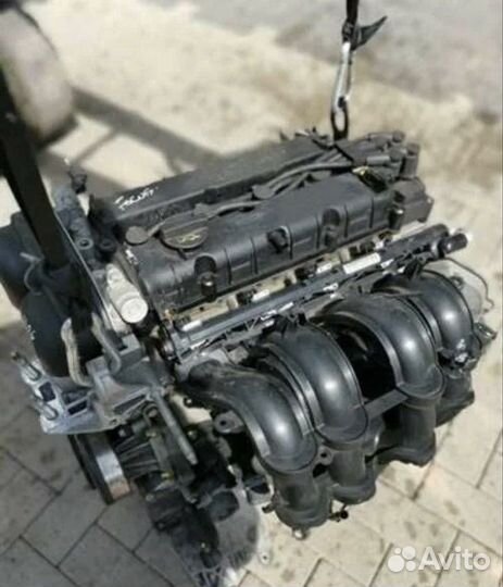 Двигатель 1.6 hxdb ford focus 2