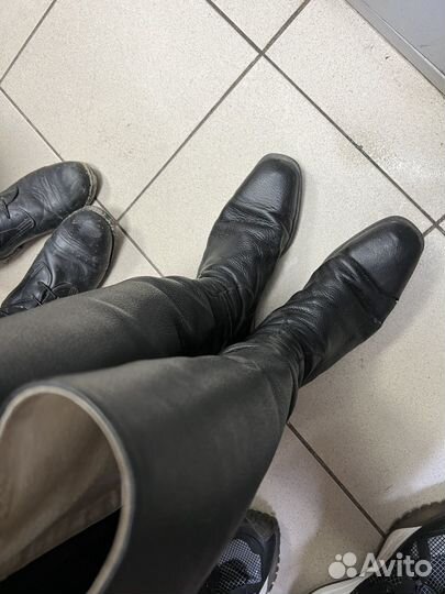 Сапоги для верховой езды