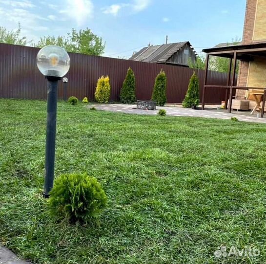 Рулонный газон