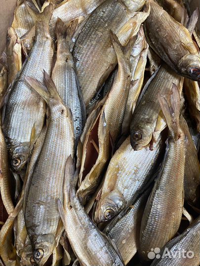 Хариус холодного копчения