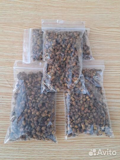 Перга урожай 2023