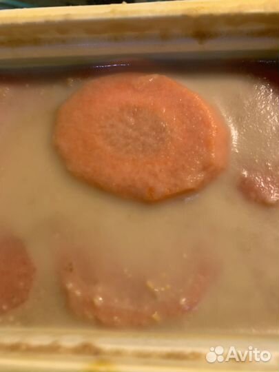 Анцитрус L144 вуаль L144 Snow White