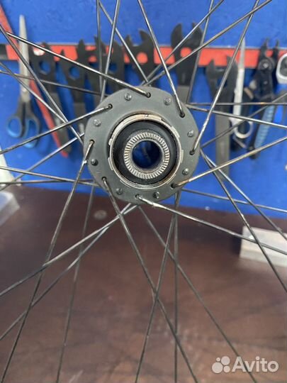 Вилсет 29 specialized