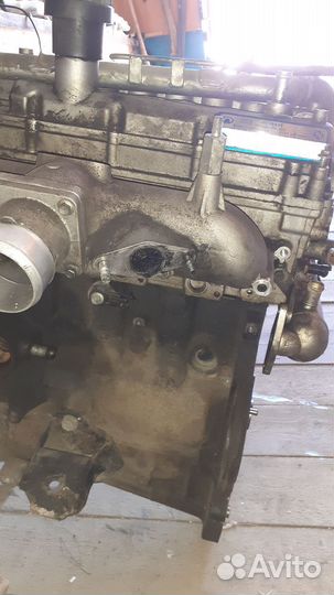 Двигатель GW 4D20