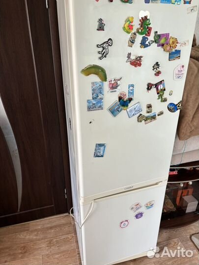 Холодильник Stinol 116