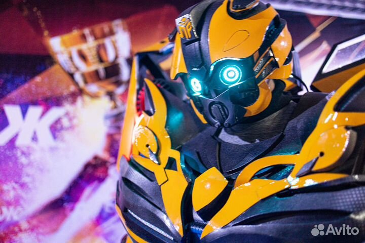 Аниматоры шоу организация