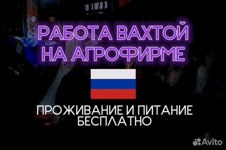 Разнорабочий на агрофирму без опыта