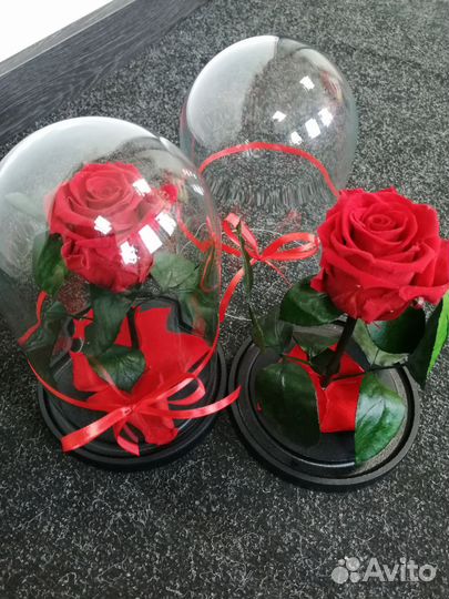 Красная роза В колбе