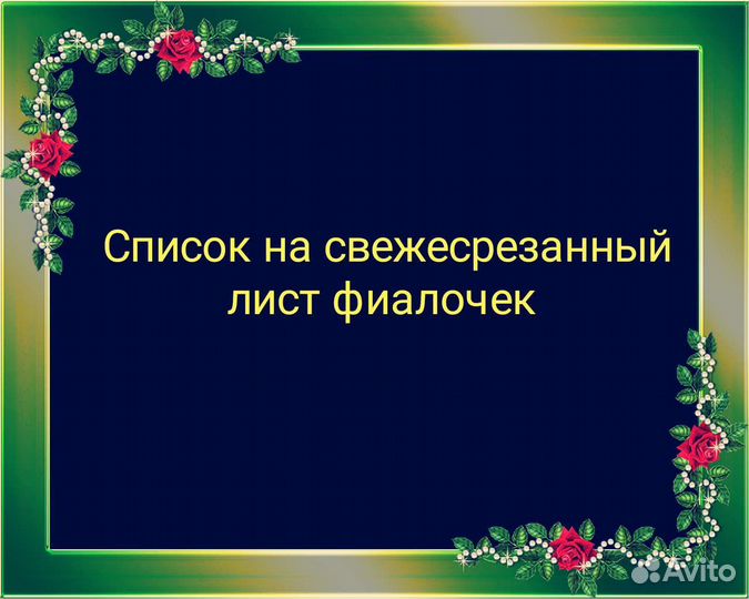 Черенки сортовых фиалочек