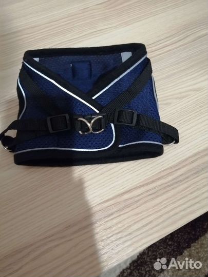 Шлейка для собаки, кошки