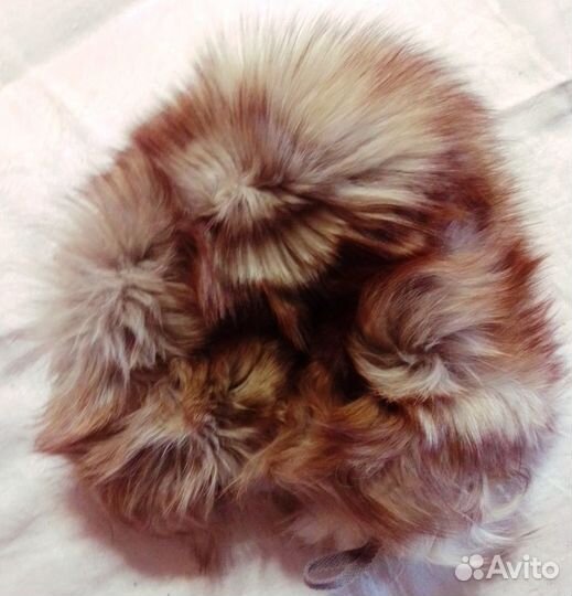 Шапка песец