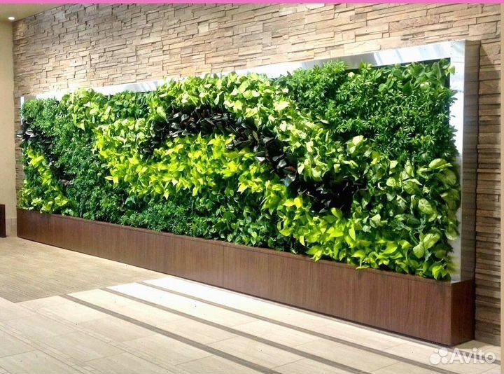 Фитокартина для природной красоты Арт: 214618