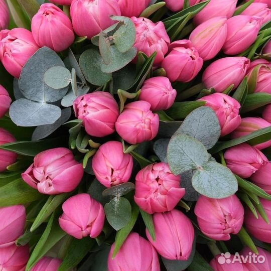 Тюльпаны с доставкой по Сургуту