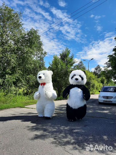 Поздравление на любое мероприятие Белый Мишка